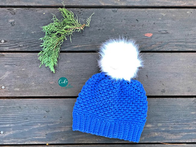 Winter Pom Hat