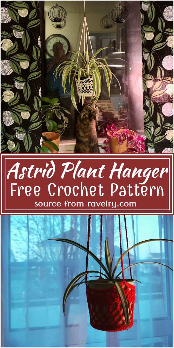 Astrid Plant Hanger Crochet Pattern