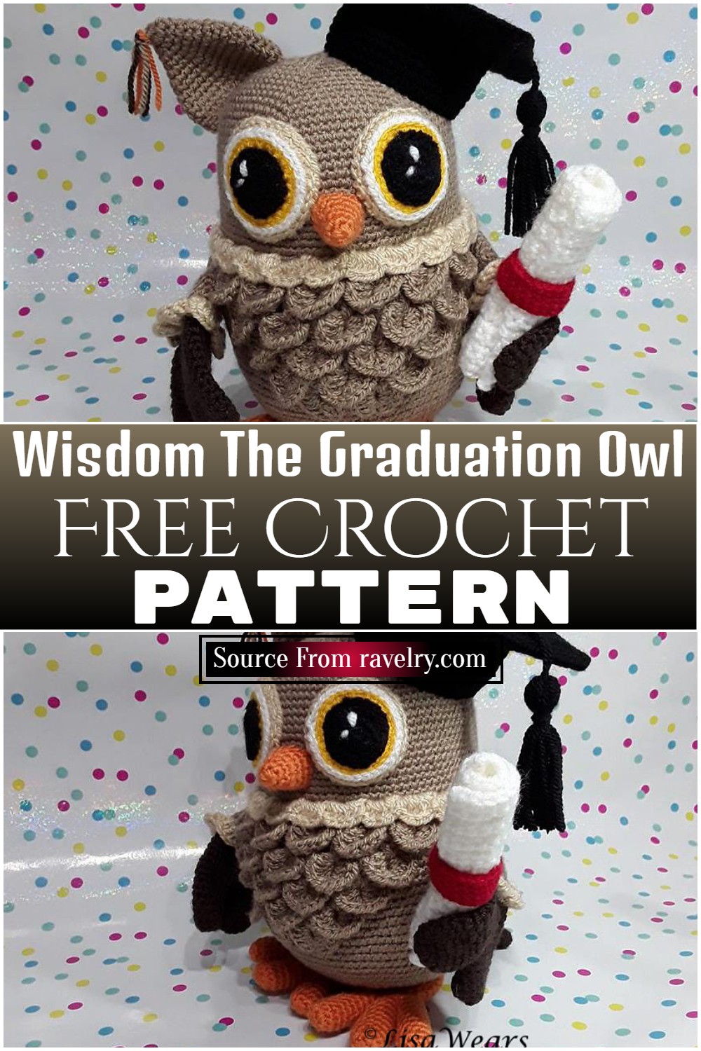 Free Crochet Wisdom The Graduation Owl ​pattern