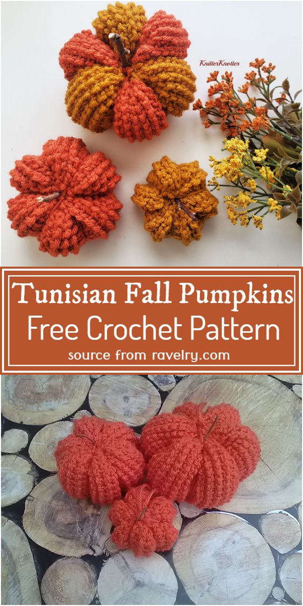 Free Crochet Tunisian Fall Pumpkins Pattern