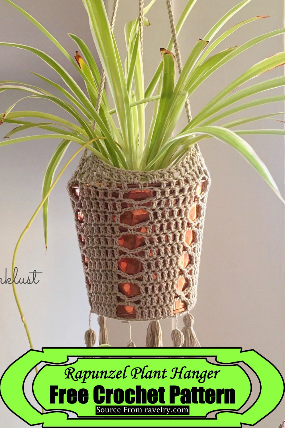 Rapunzel Plant Hanger