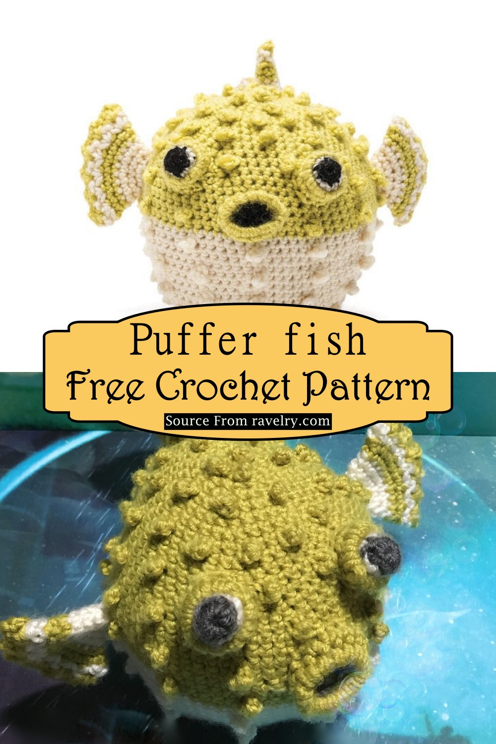 Puffer fish