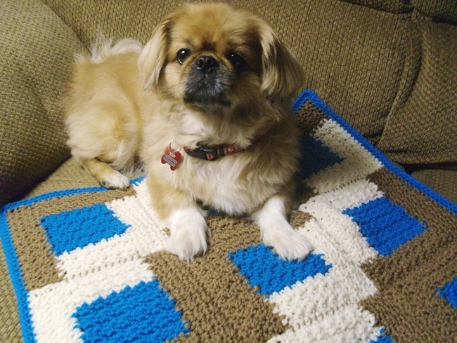 Dog Cabin Blanket