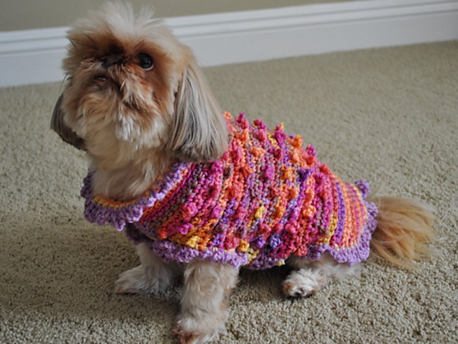 Bella Dog Sweater
