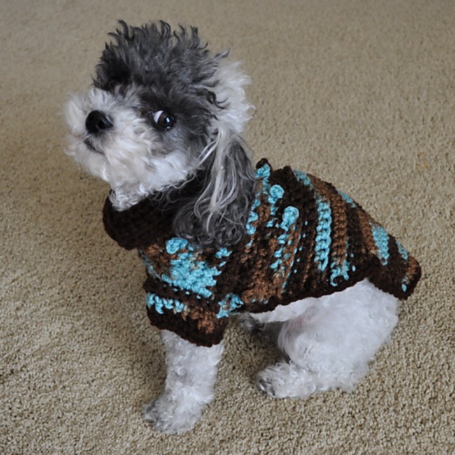 Bentley Bobbles pup Sweater