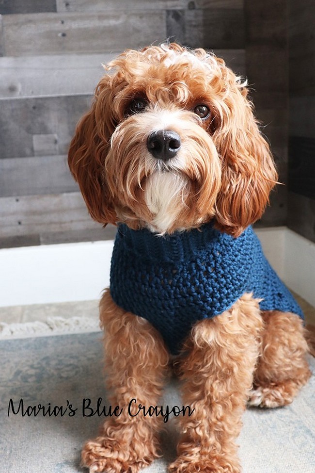 Cable Pullover Dog Sweater