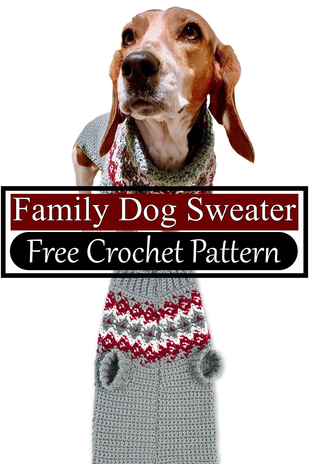 Family Dog Sweater