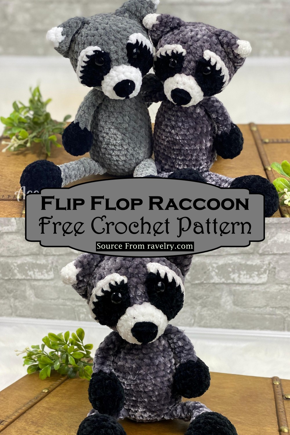 Flip Flop Raccoon