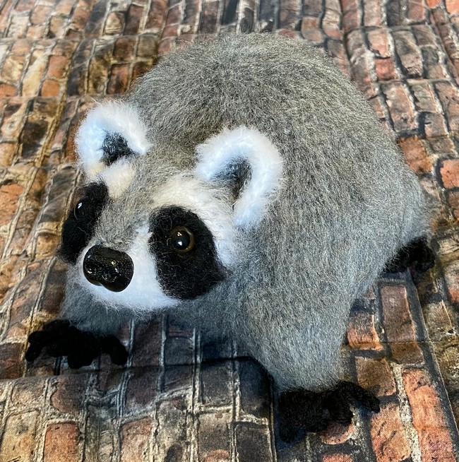 Happy Raccoon