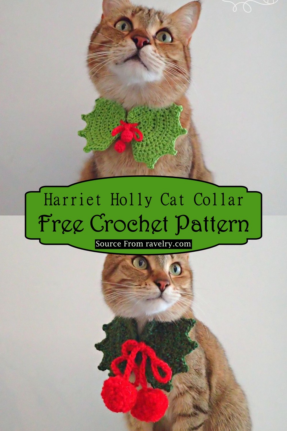Harriet Holly Cat Collar