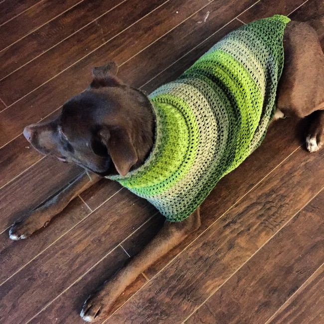 Monty Doggo sweater 