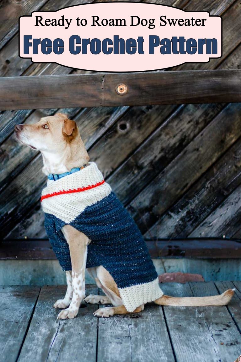 25 Free Crochet Dog Sweater Patterns