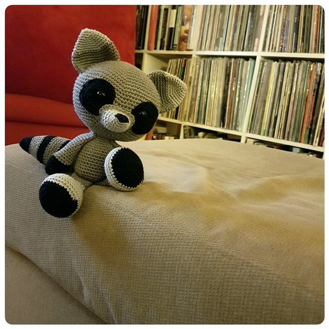 The Silent Raccoon