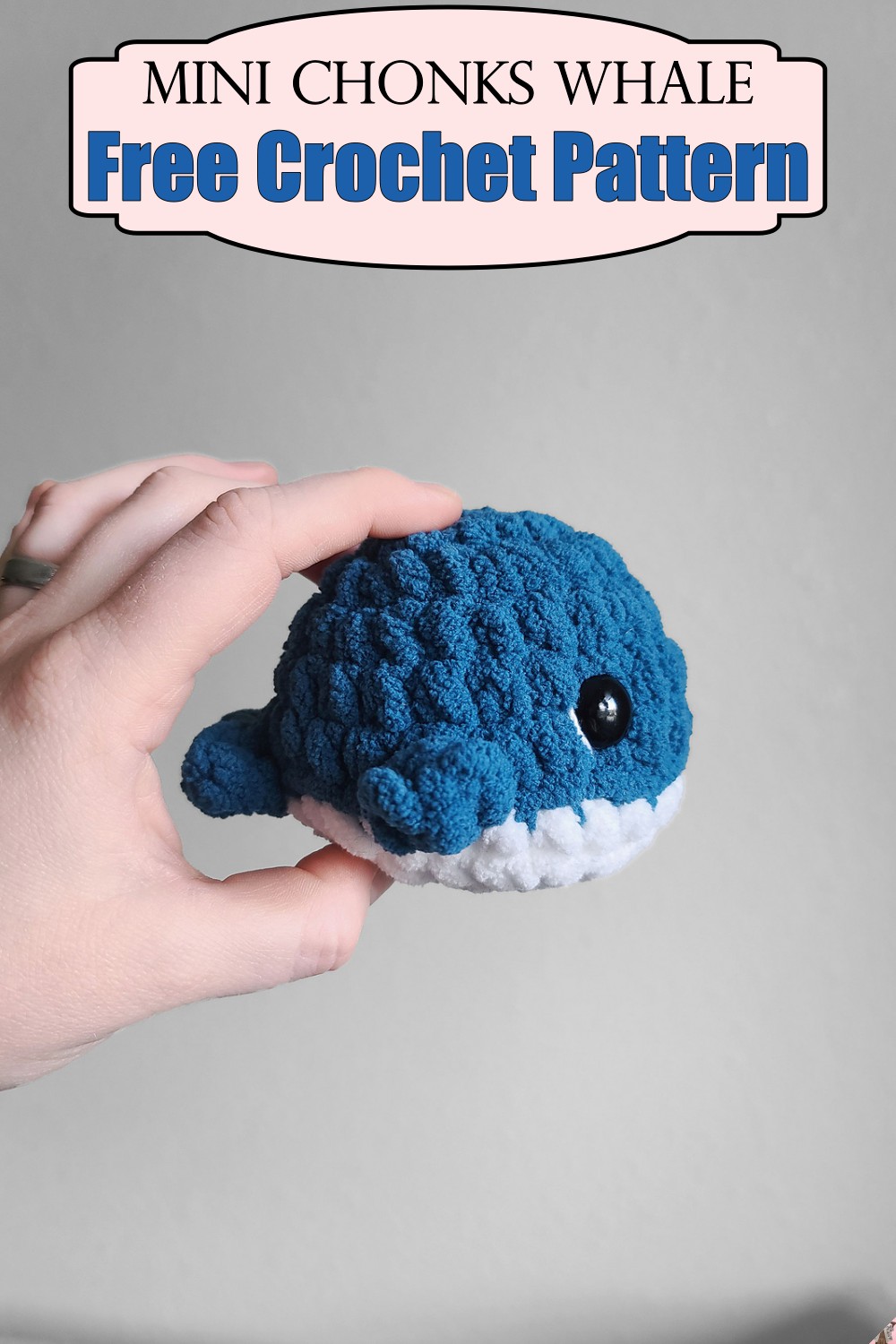 Mini Chonks Whale