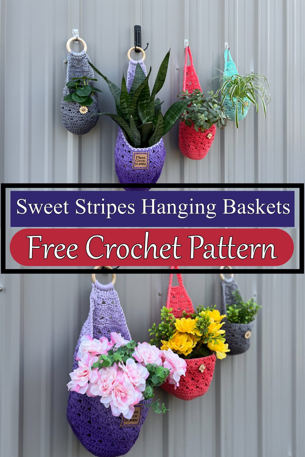 Sweet Stripes Hanging Baskets