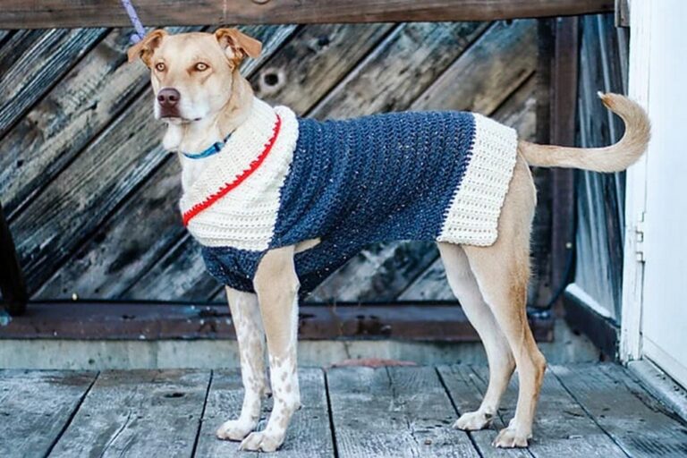 25 Free Crochet Dog Sweater Patterns