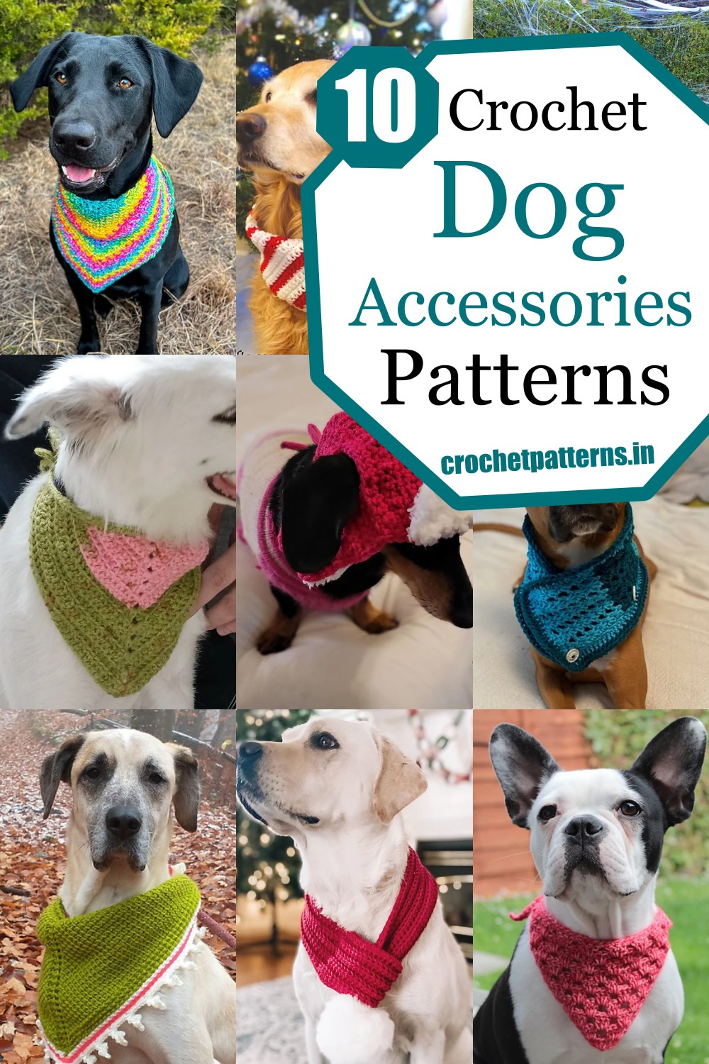 10 Crochet Dog Accessories Patterns