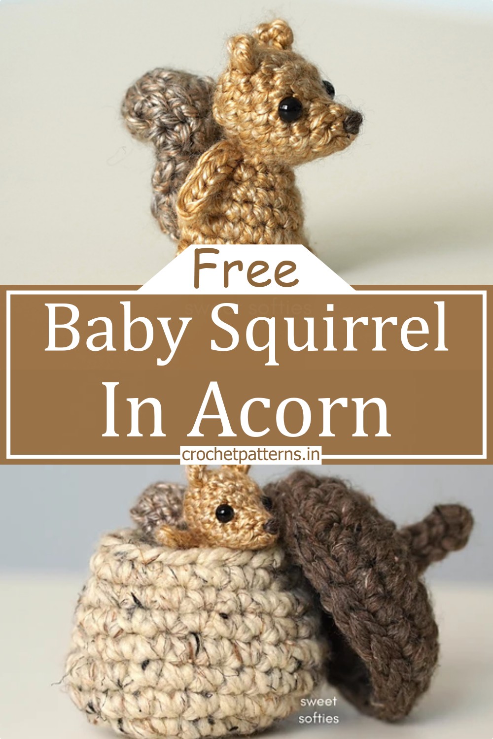 Baby Squirrel In Acorn
