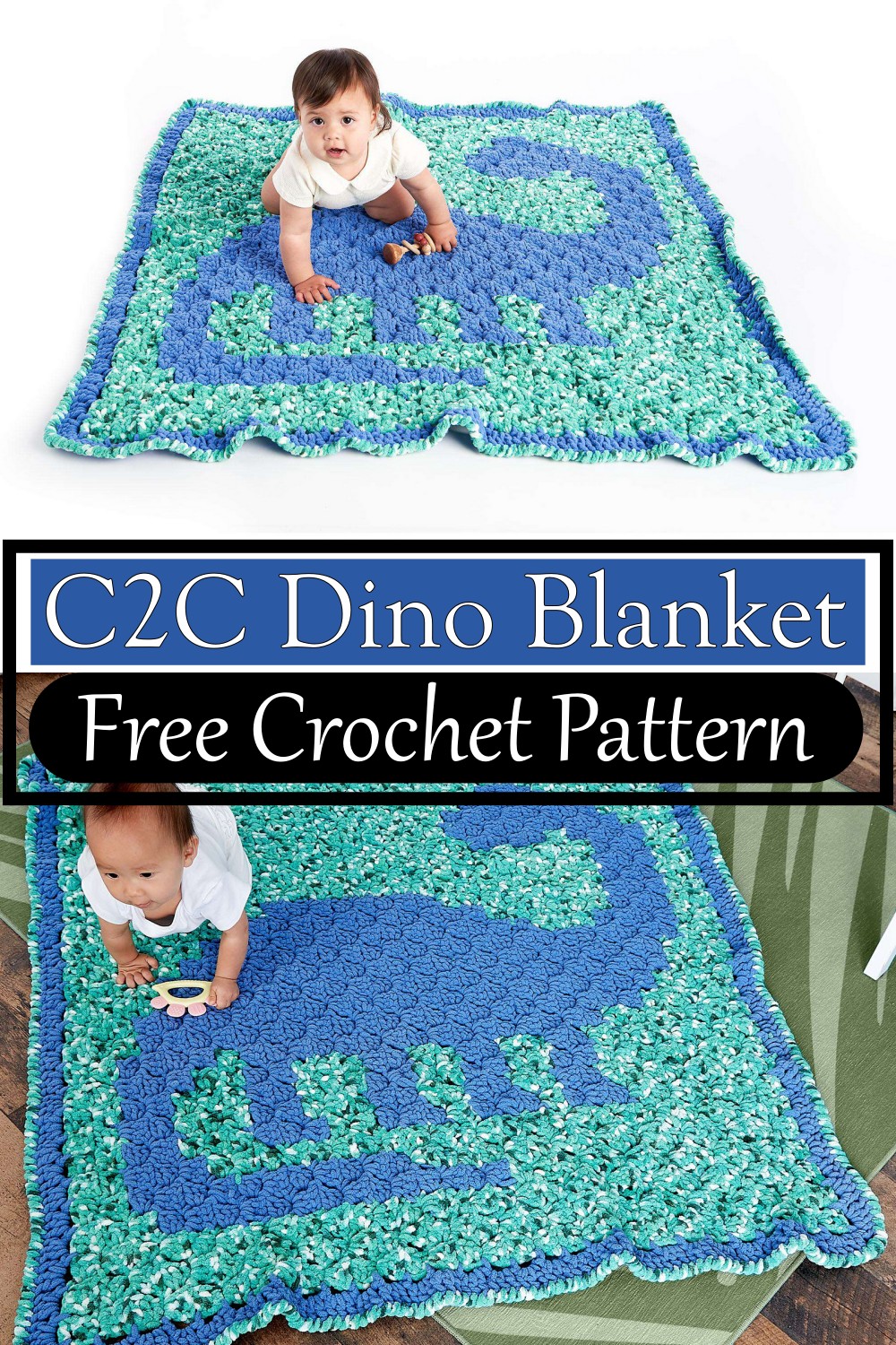 C2C Dino Blanket