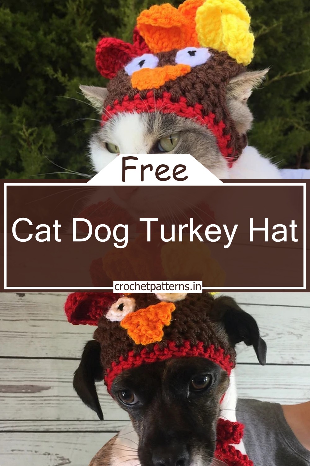 Cat - Dog Turkey Hat