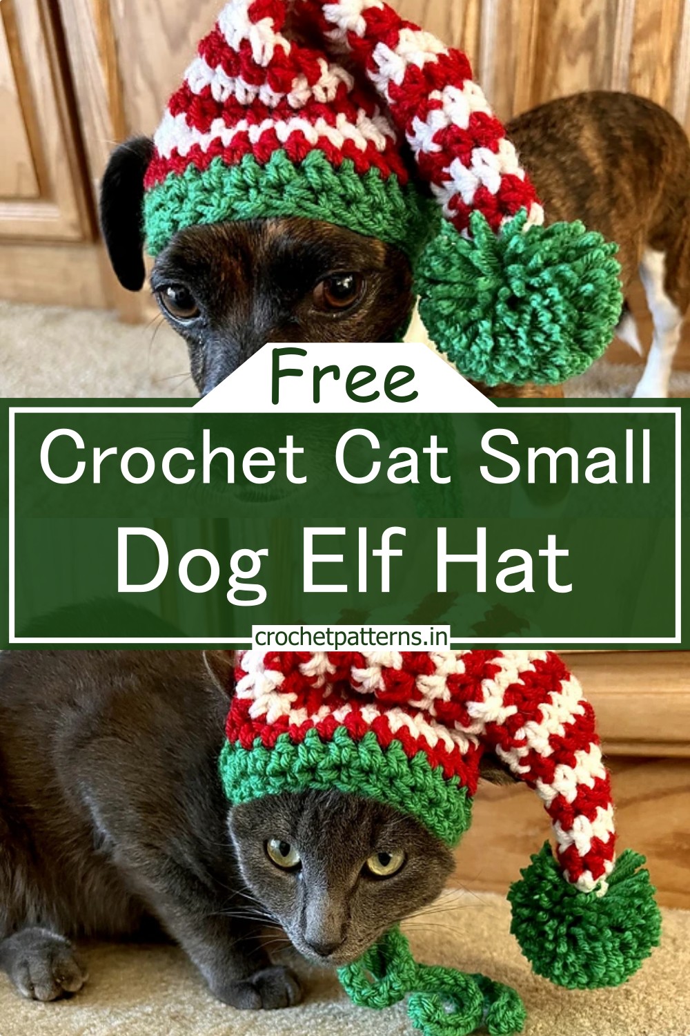 Cat Small Dog Elf Hat