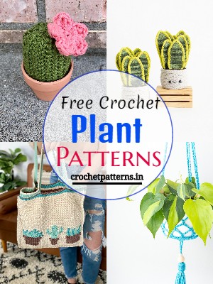 15 Crochet Plant Patterns For Indoor Decorations