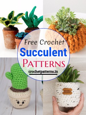 19 Easy Crochet Succulent Patterns