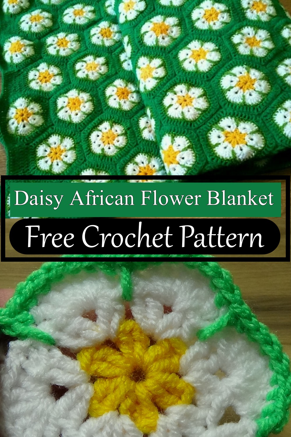 Daisy African Flower Blanket