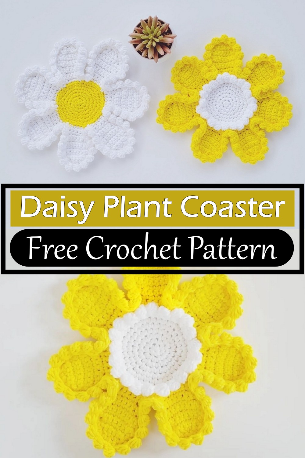 Daisy flower Coaster