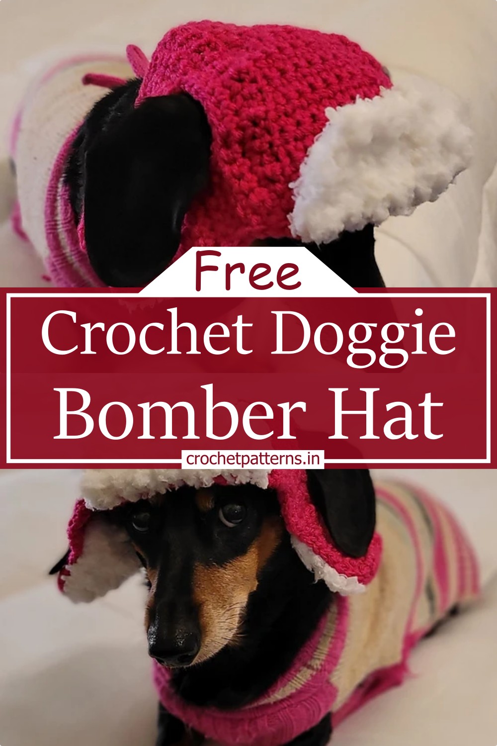 Doggie Bomber Hat