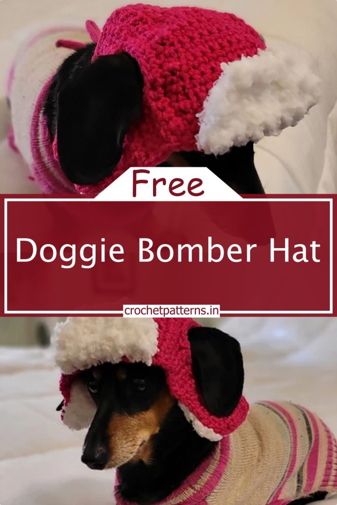 6 Crochet Dog Hat Patterns To Keep Your Pet Safe This Winter