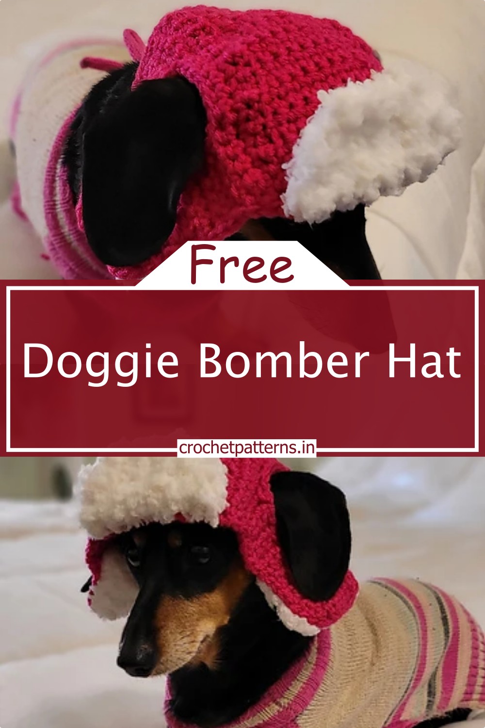 Doggie Bomber Hat