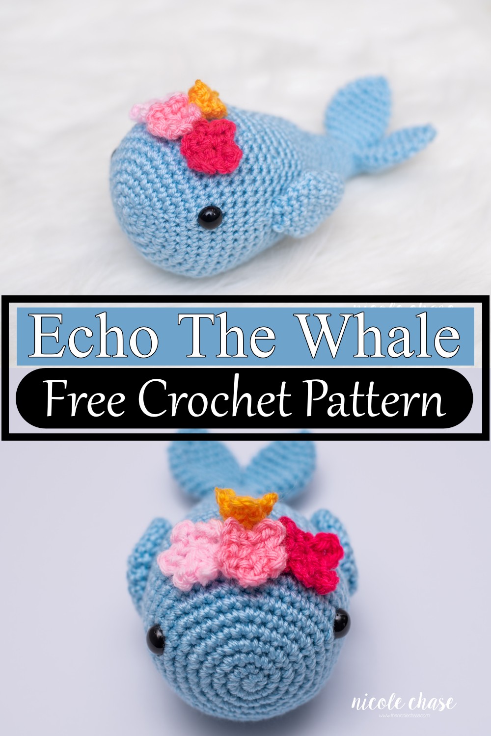 Echo The Whale