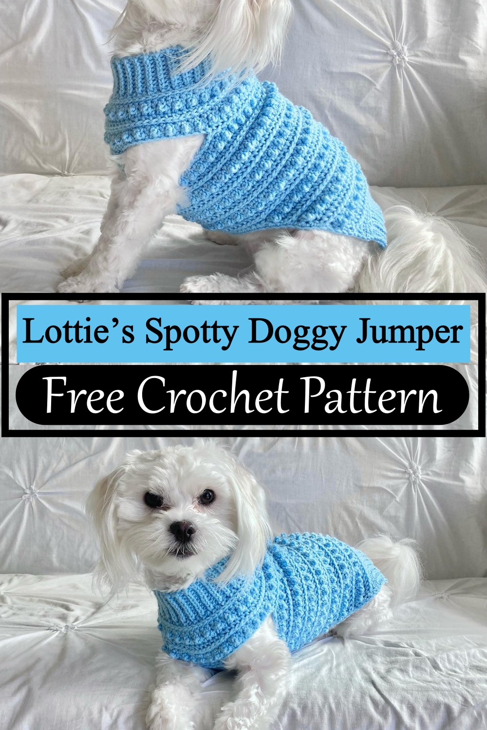 Lottie’s Spotty Doggy Jumper