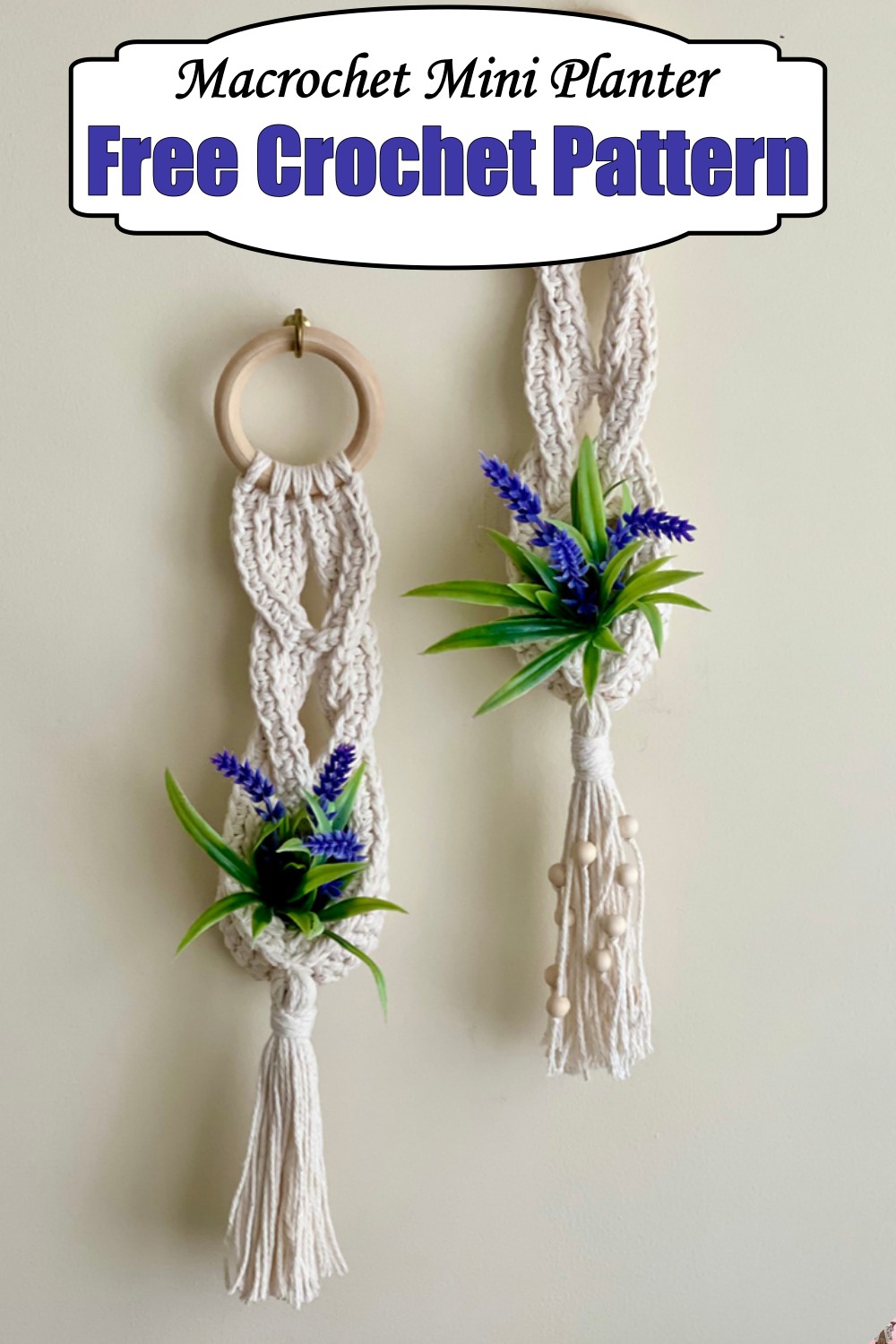 Macrochet Mini Planter