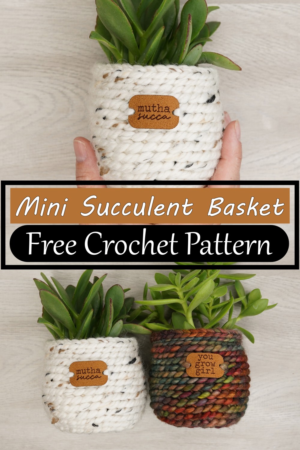 Mini Succulent Basket