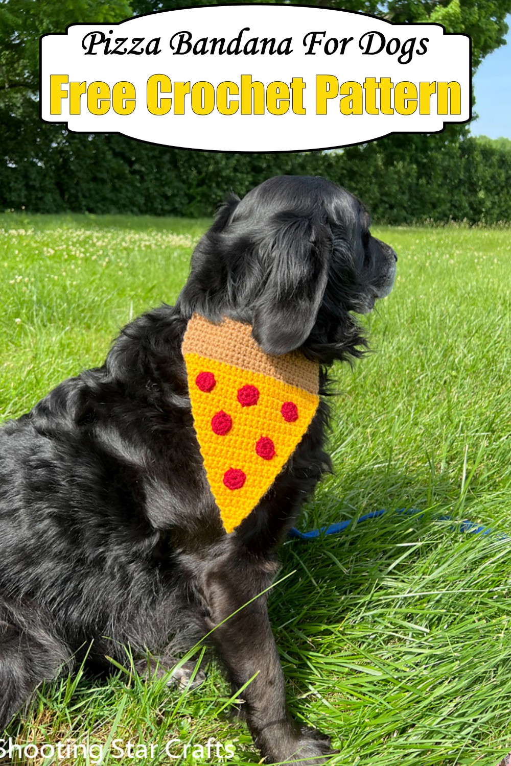 Pizza Bandana For Dogs