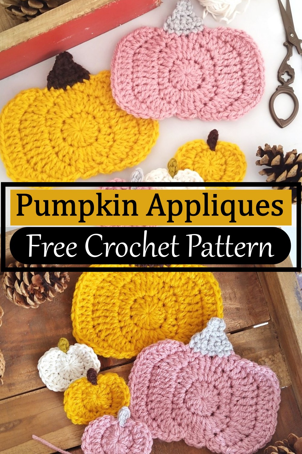 Pumpkin Appliques