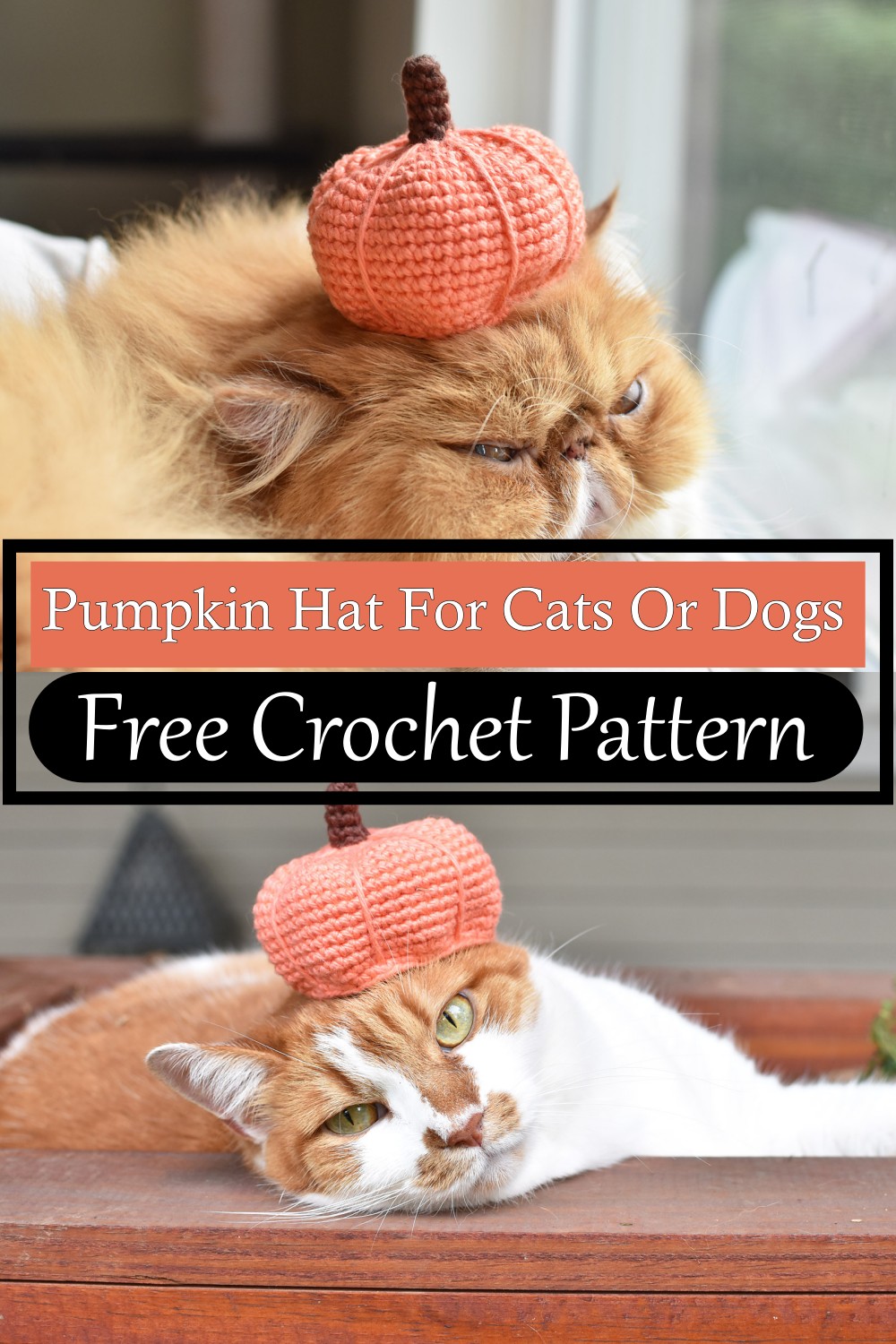 Pumpkin Hat For Cats Or Dogs
