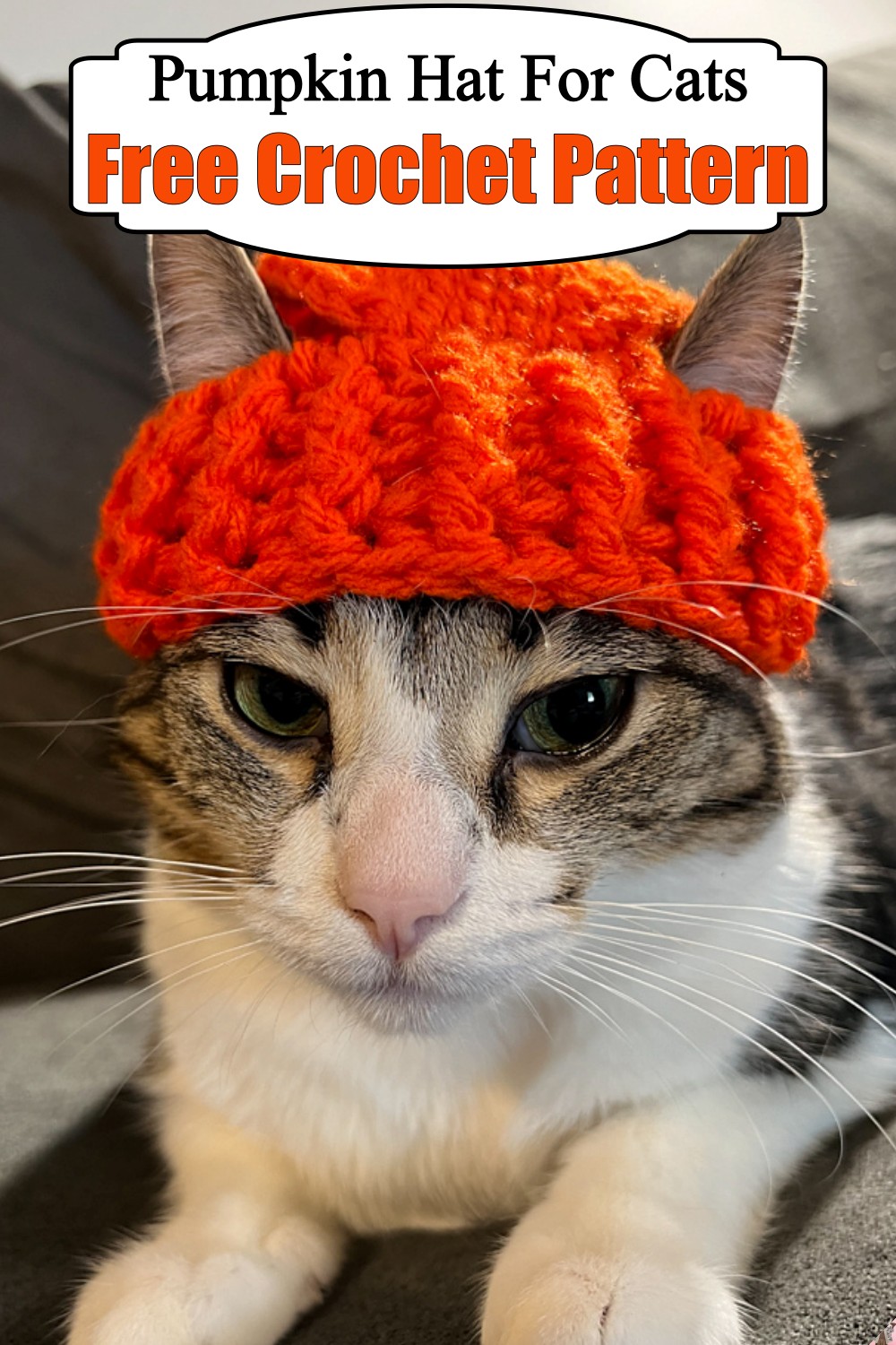 Pumpkin Hat For Cats