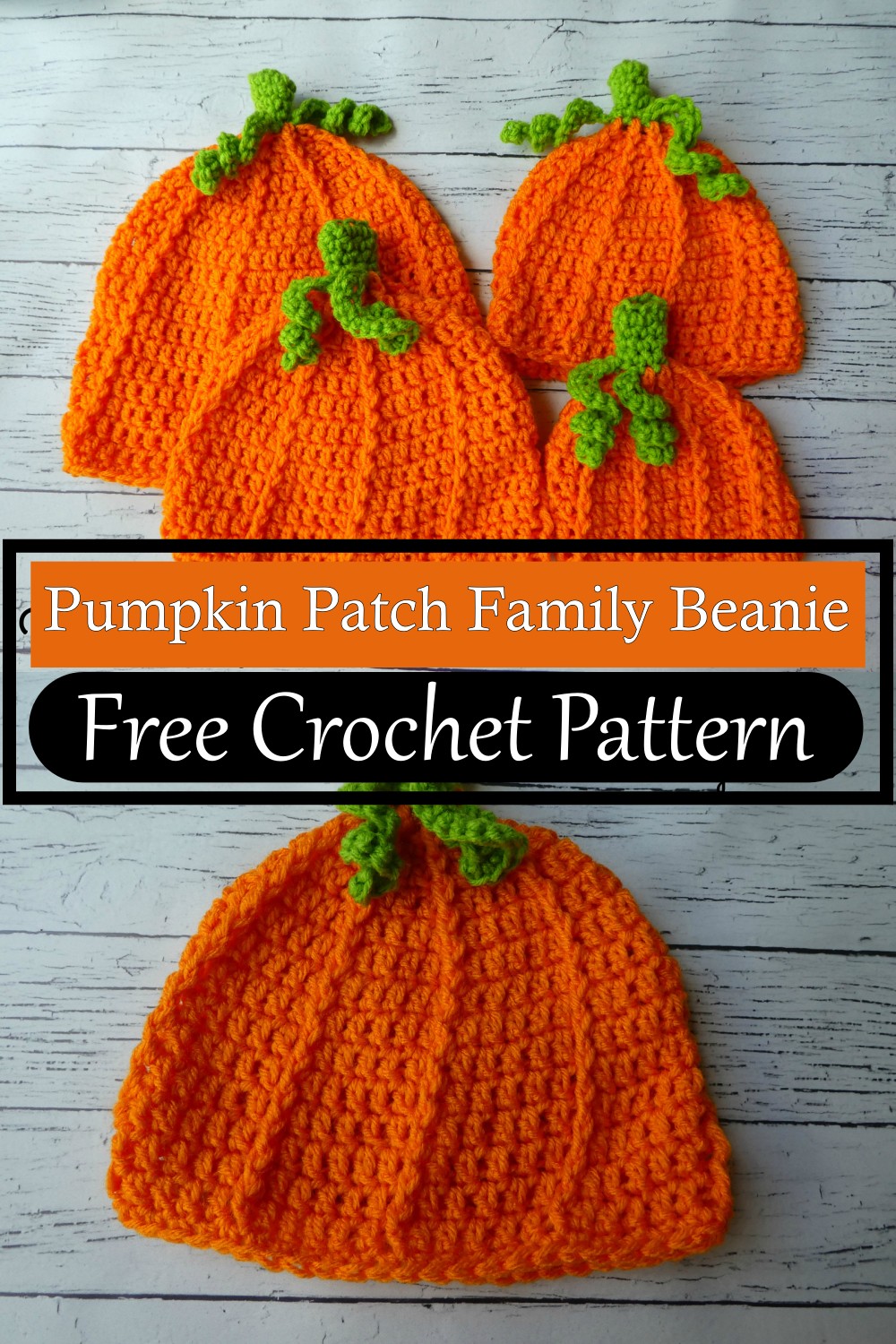 easy to make Patch Family Beanie