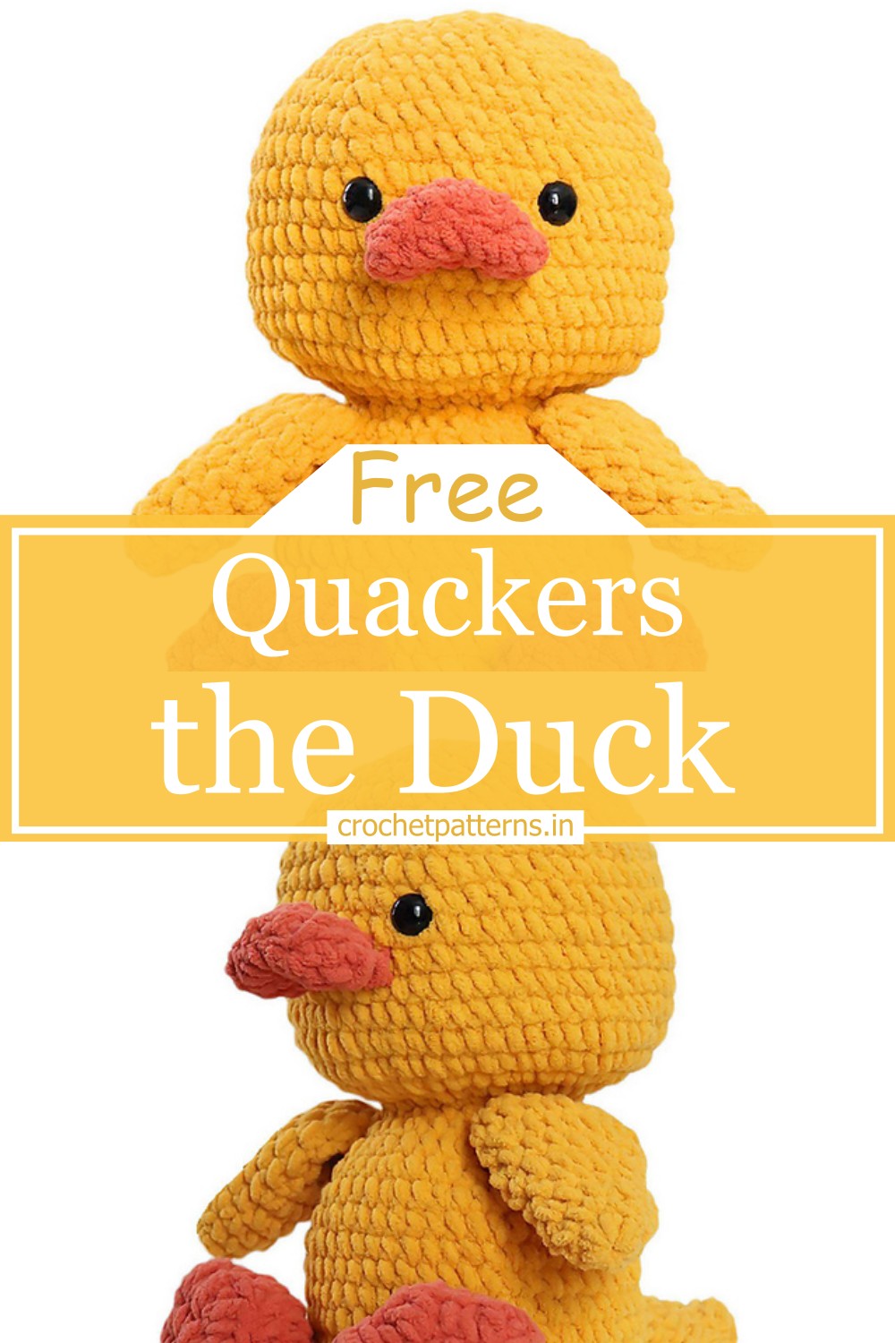 Quackers the Duck