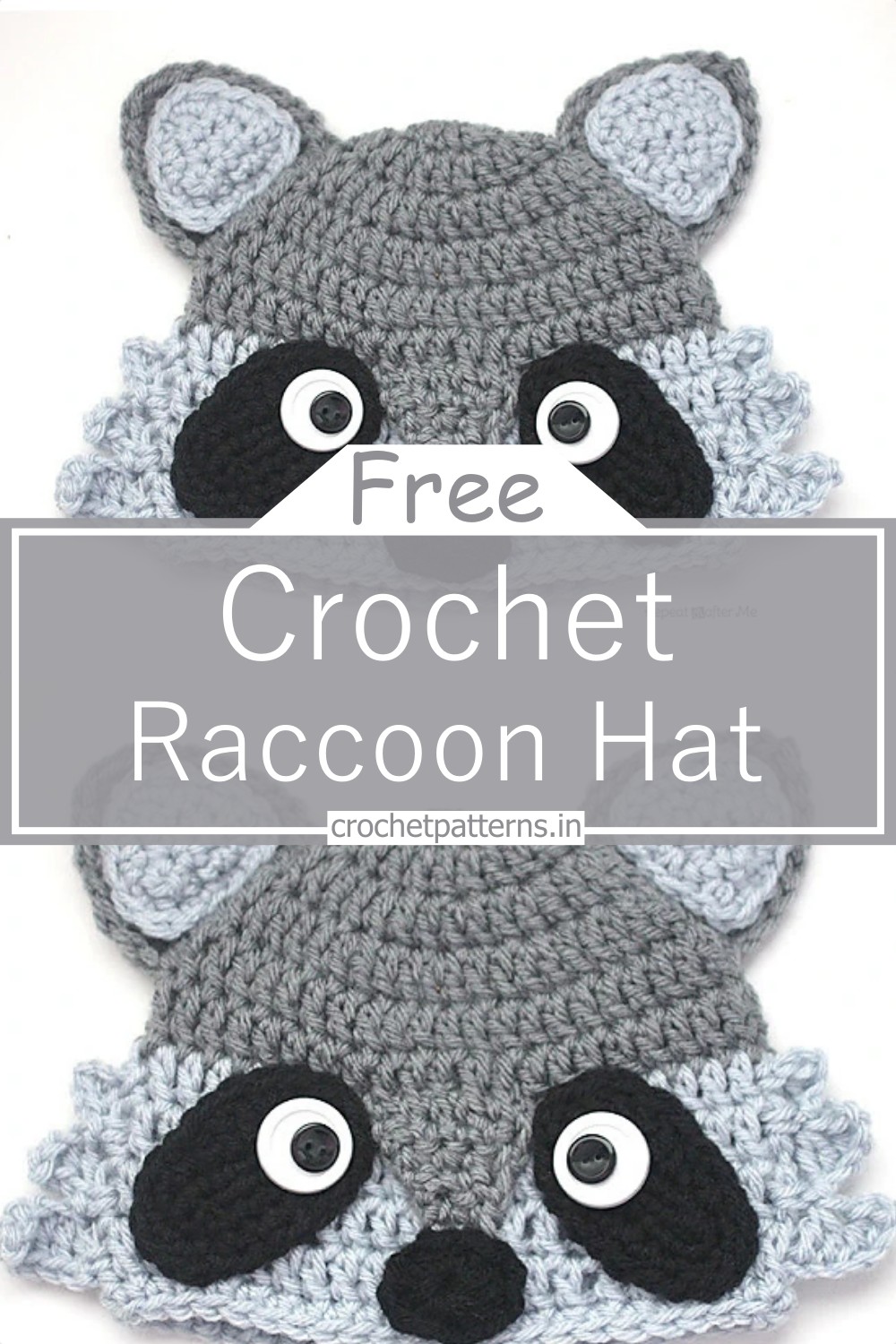 Raccoon Hat