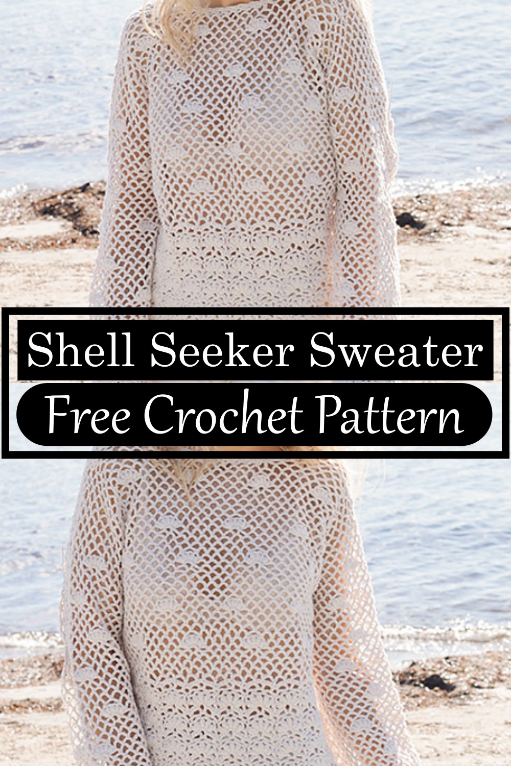 Shell Seeker Sweater