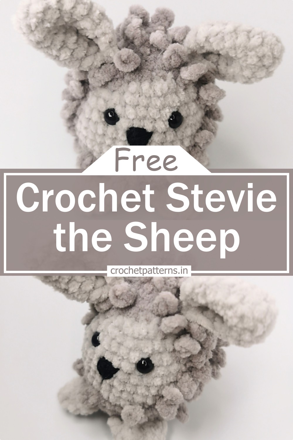 Stevie the Sheep