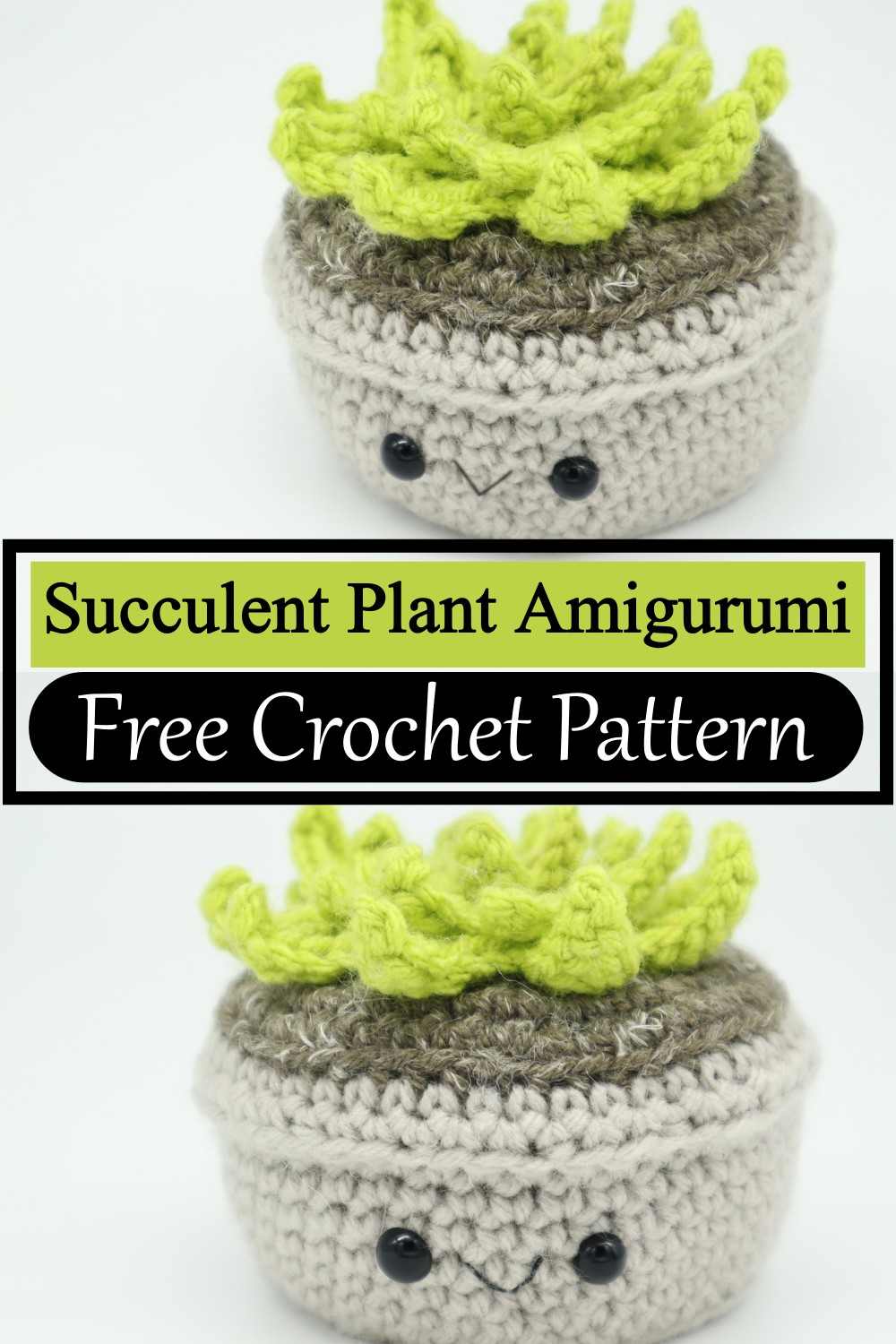 Succulent Plant Amigurumi