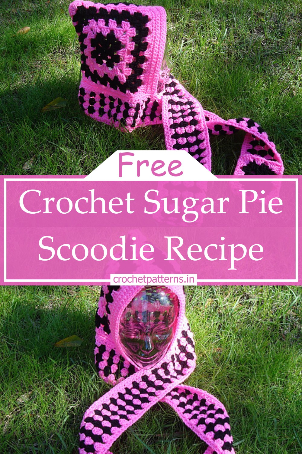 Sugar Pie Scoodie Recipe