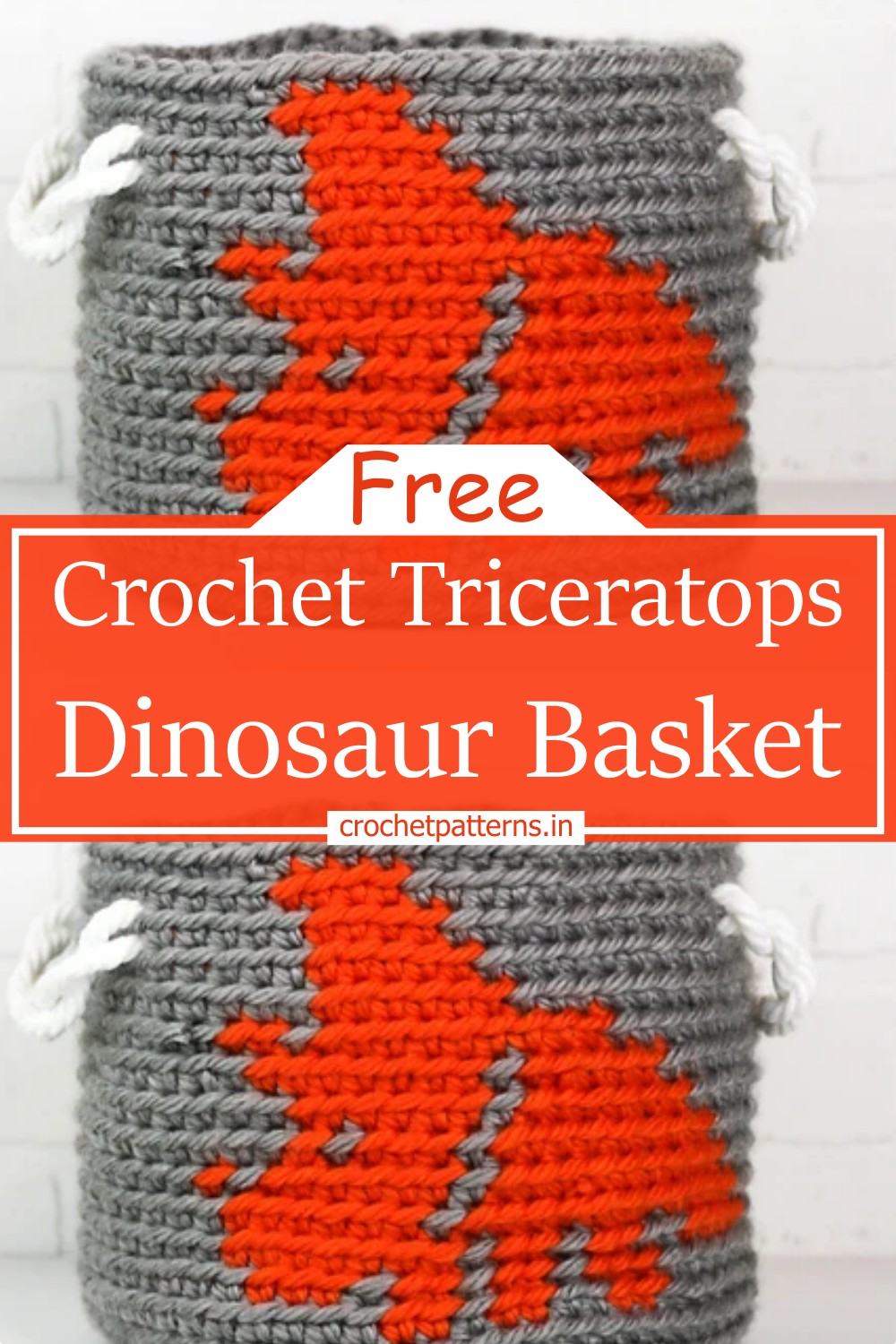 Triceratops Dinosaur Basket