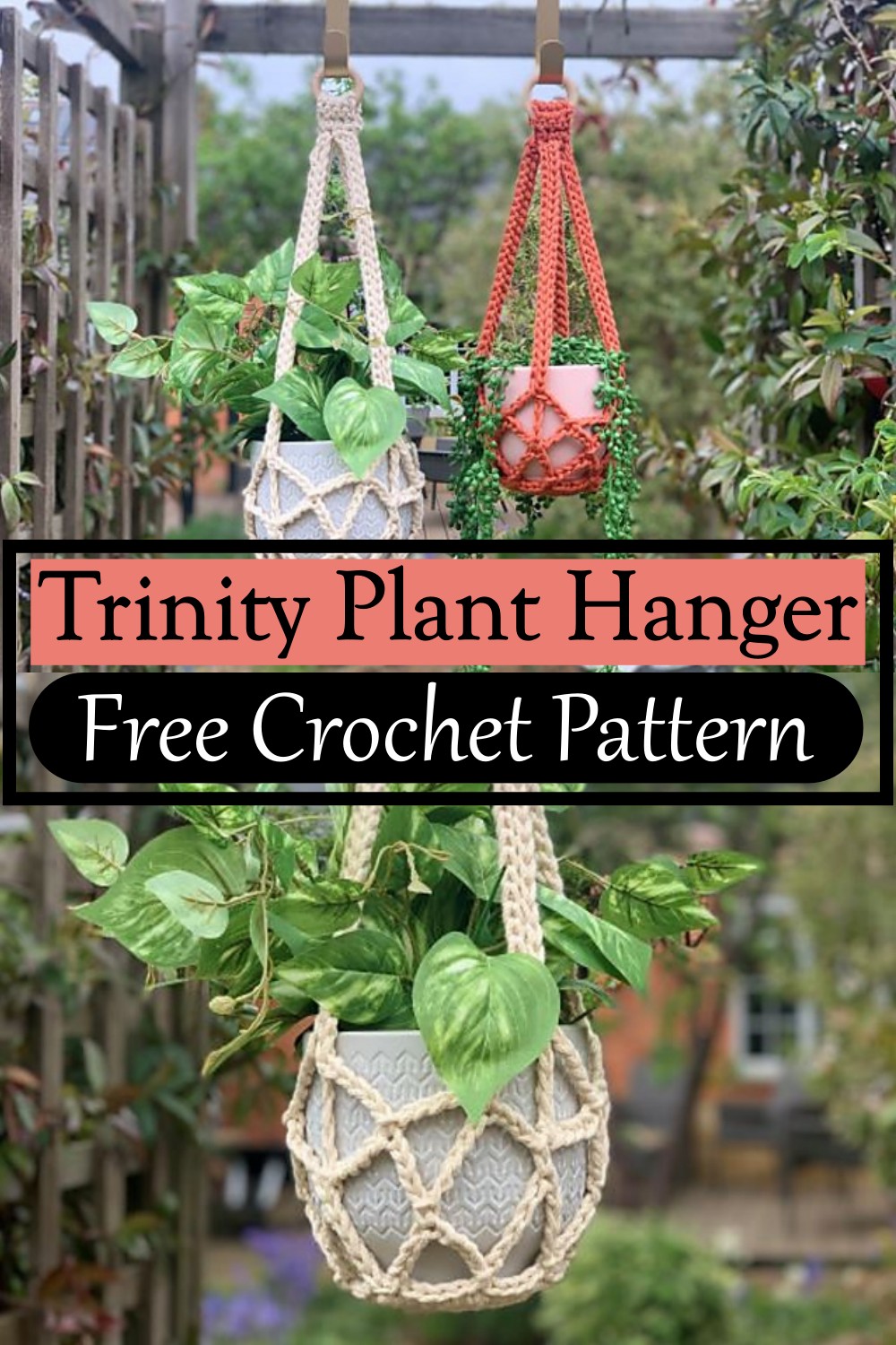 Trinity Plant Hanger