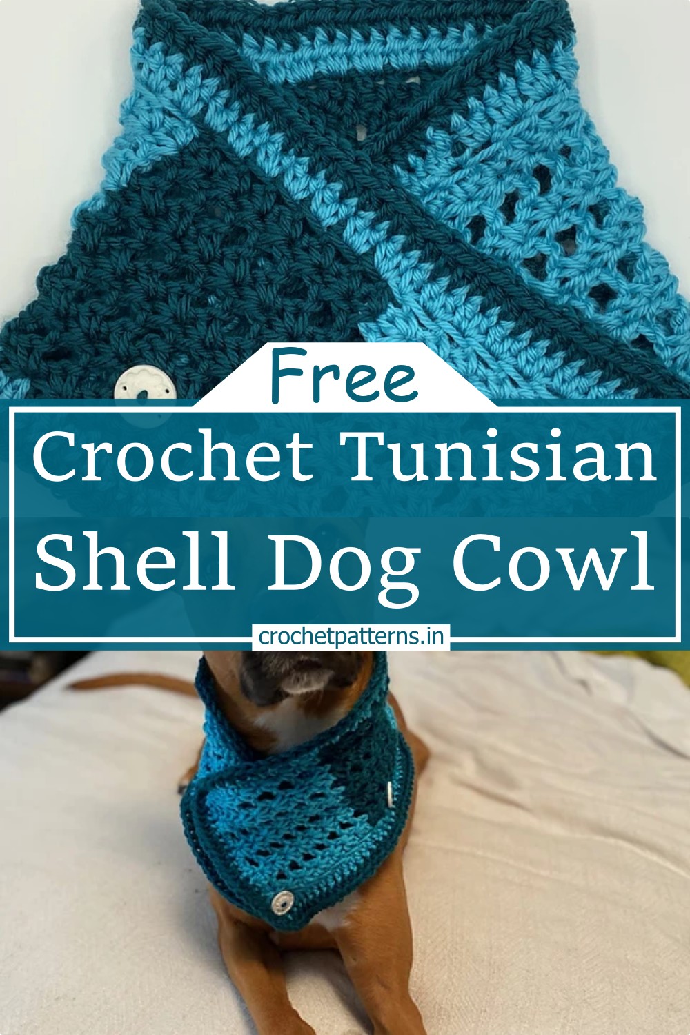 Tunisian Shell Dog Cowl